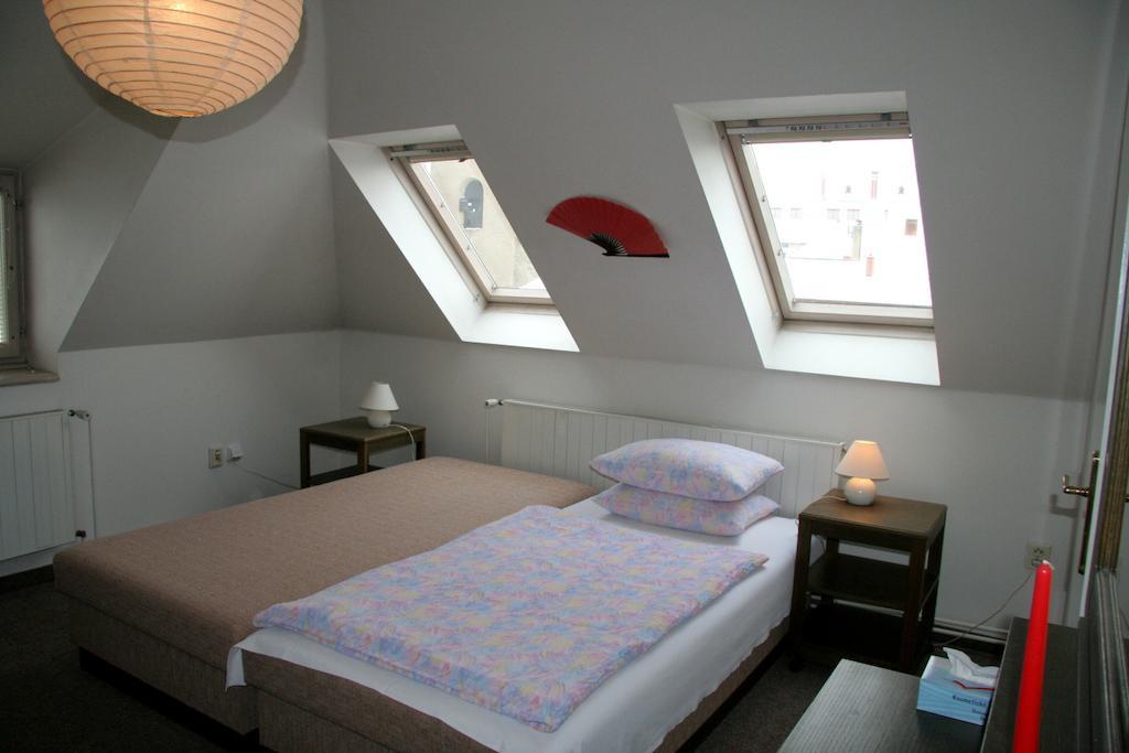 Penzion Orchidea Opočno Szoba fotó