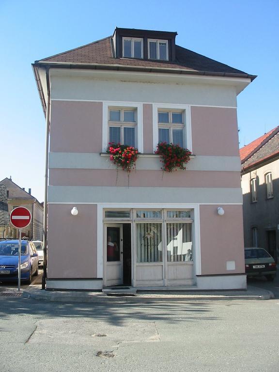 Penzion Orchidea Opočno Kültér fotó