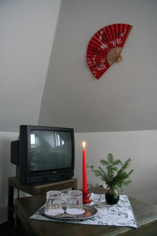Penzion Orchidea Opočno Kültér fotó